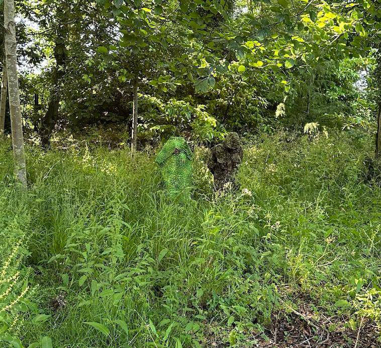 Preliminary Field Test